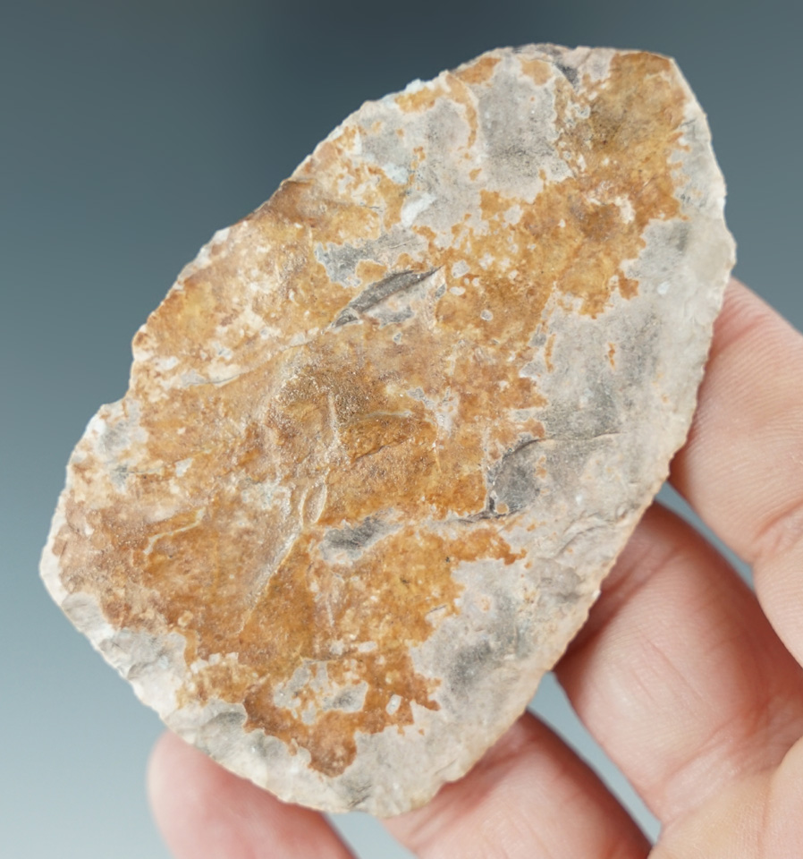 Main artifact image