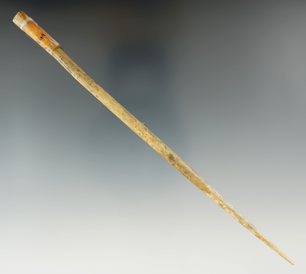 Main artifact image