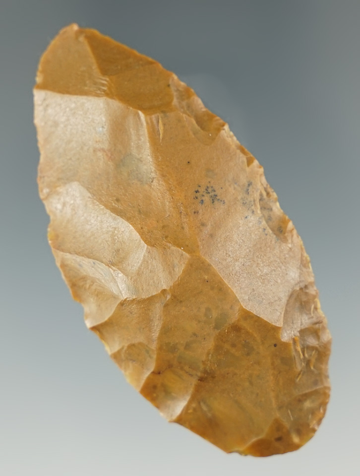 Main artifact image