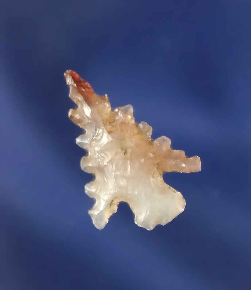 Main artifact image