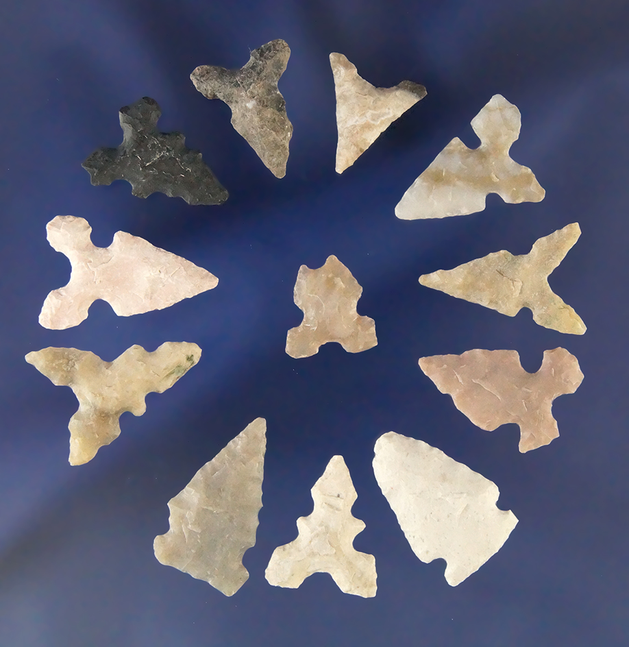 Set of 12 Birdpoints found in Texas, largest is 13/16".