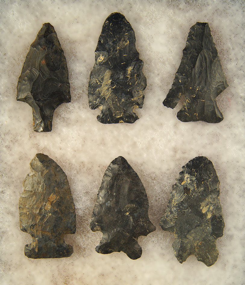 Main artifact image