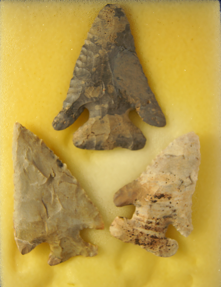 Main artifact image