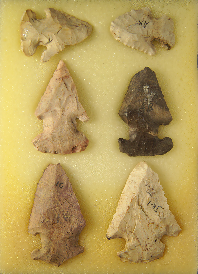 Main artifact image