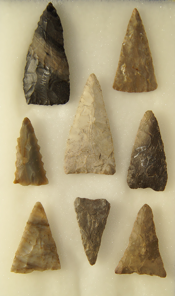 Main artifact image