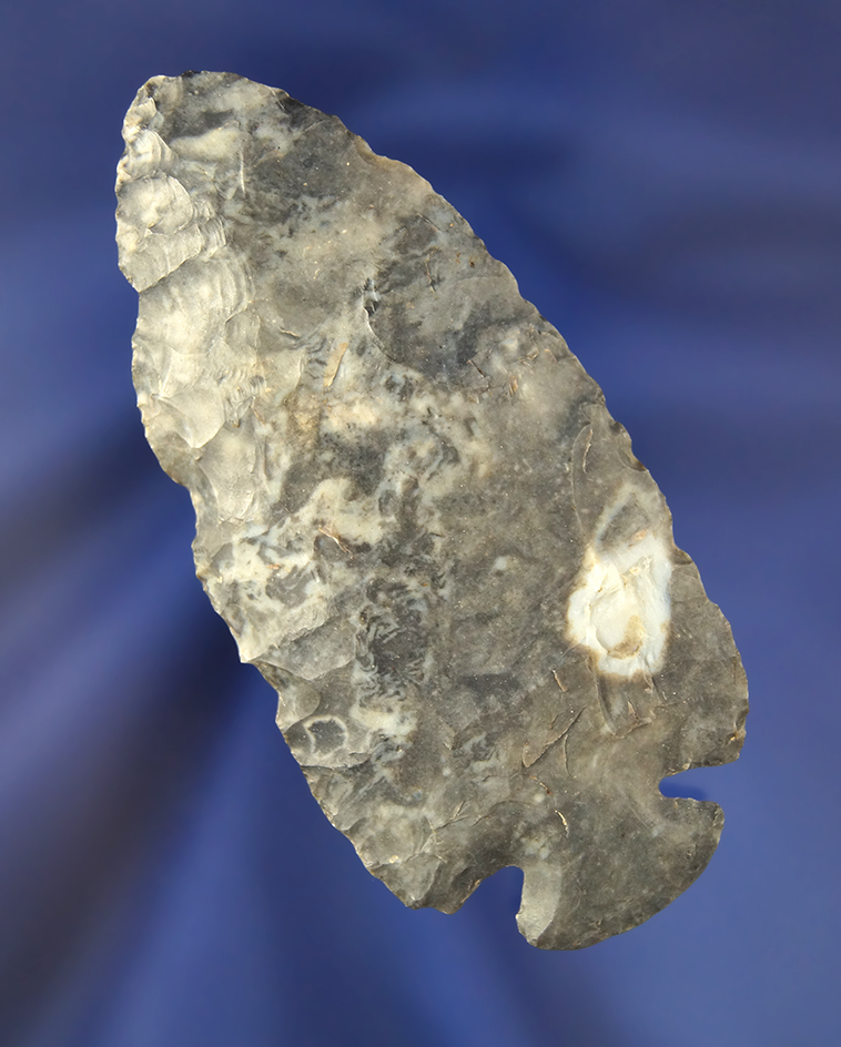 Main artifact image
