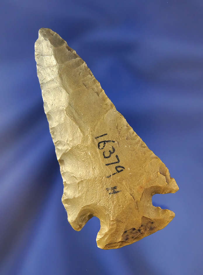 Main artifact image