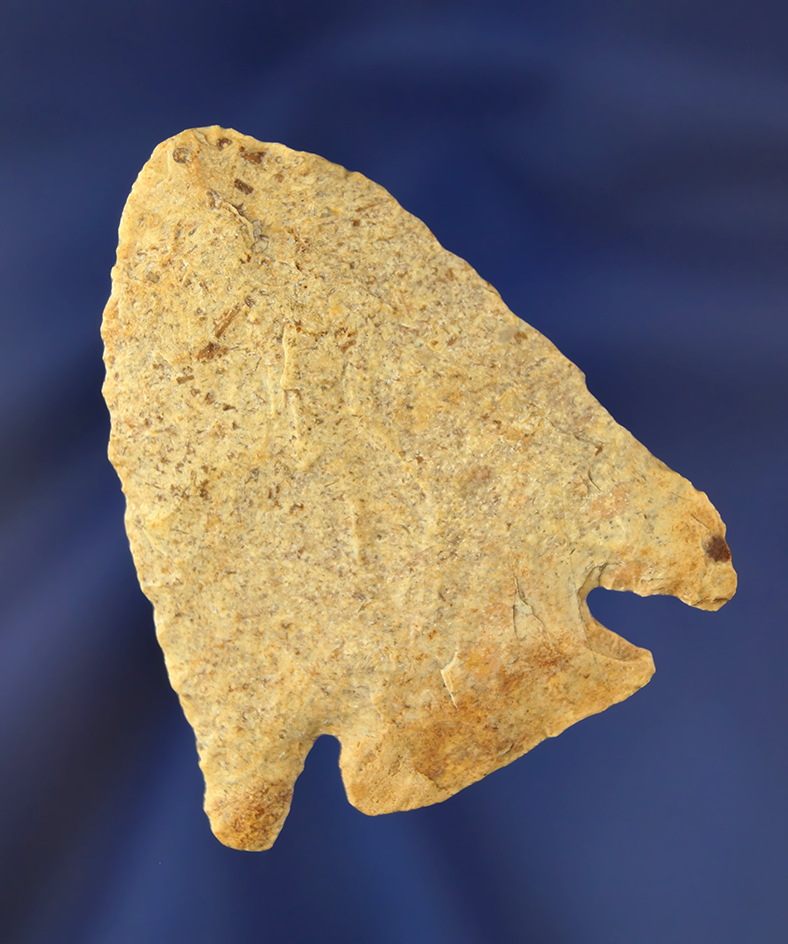 Main artifact image