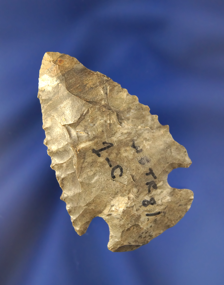 Main artifact image