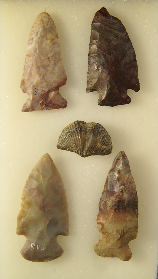 Main artifact image