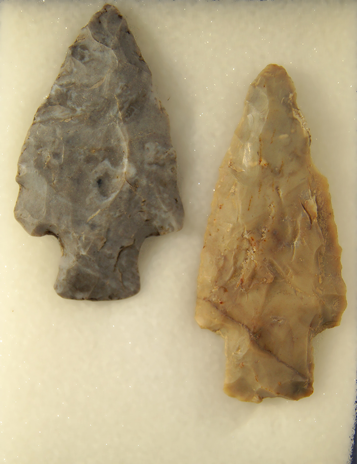 Main artifact image