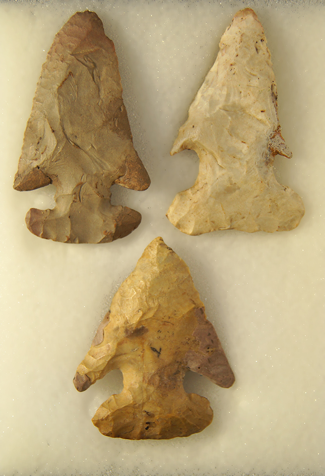 Main artifact image