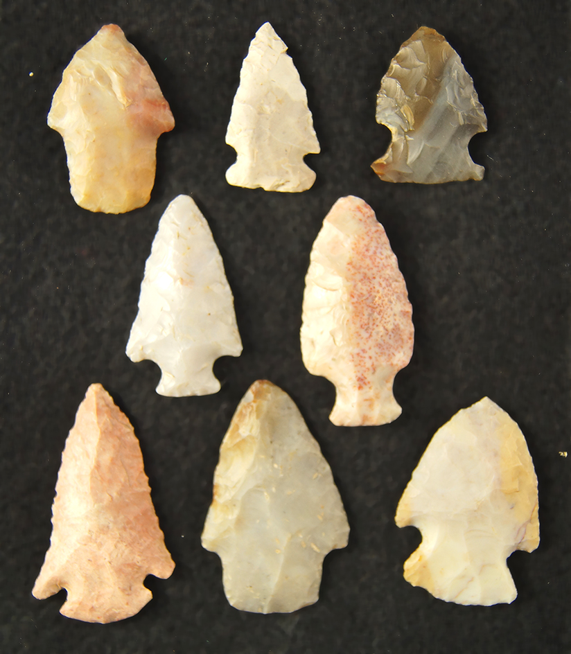 Main artifact image