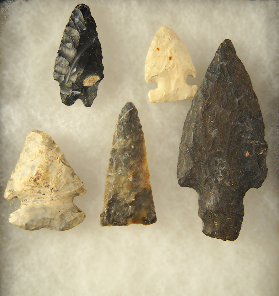 Main artifact image