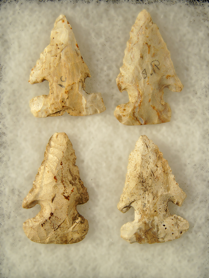 Main artifact image