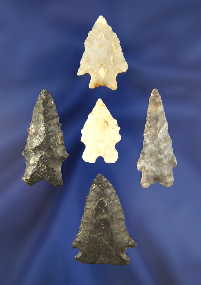 Main artifact image