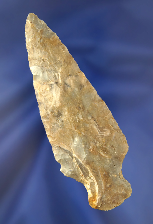 Main artifact image
