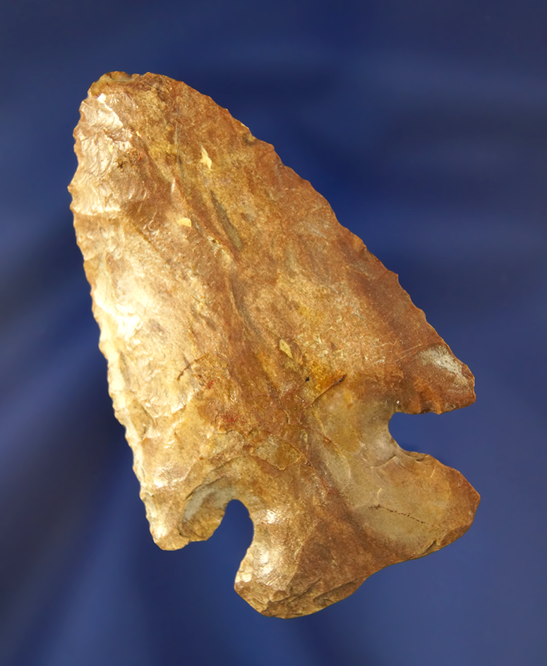 Main artifact image