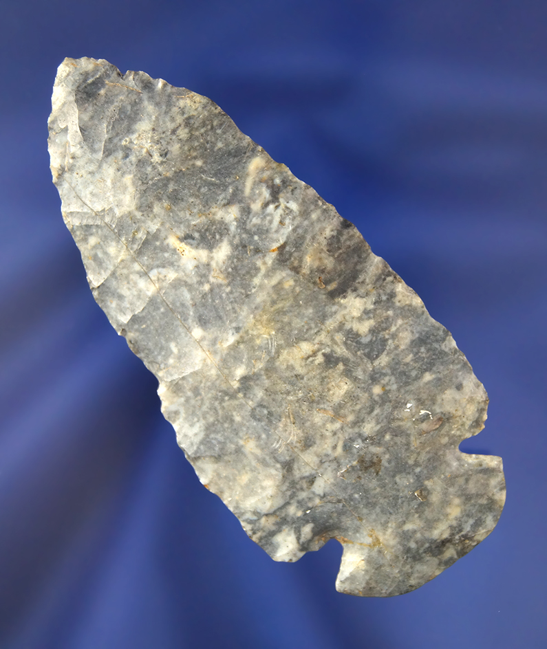 Main artifact image