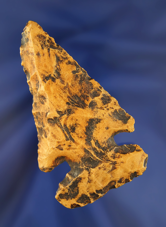 Main artifact image