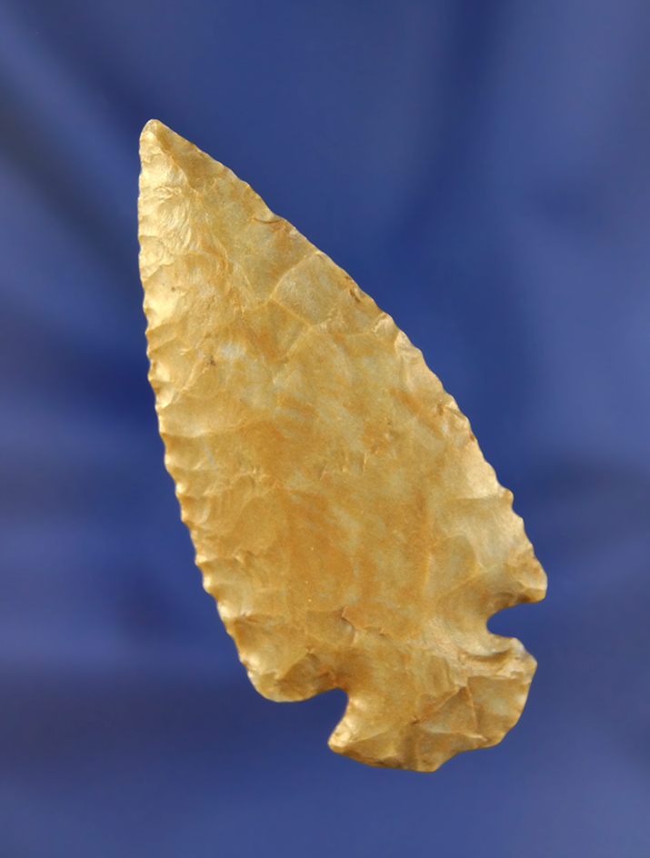 Main artifact image