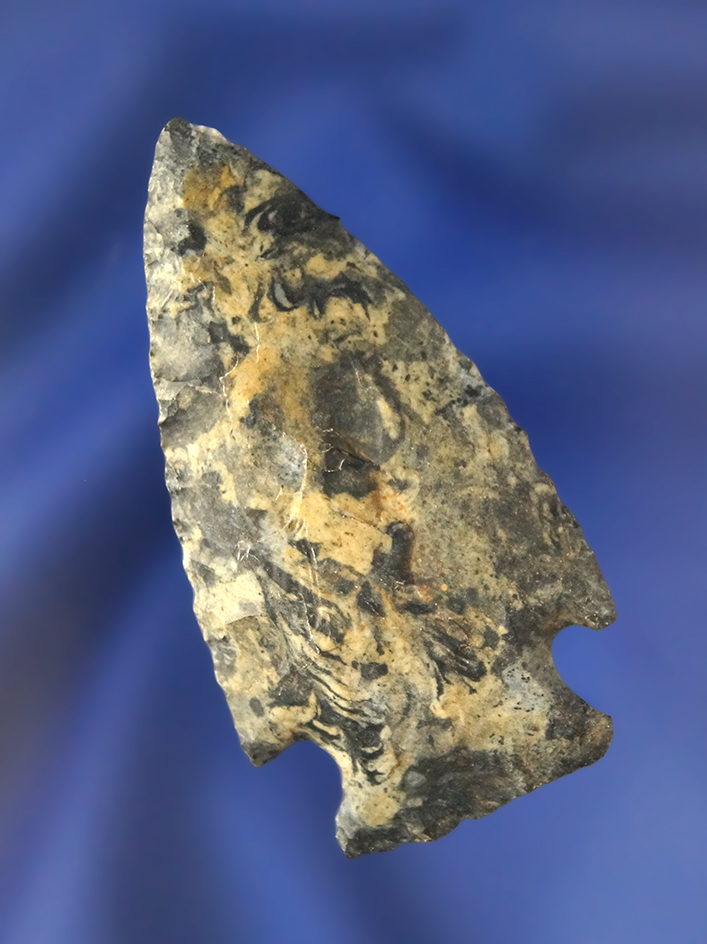 Main artifact image
