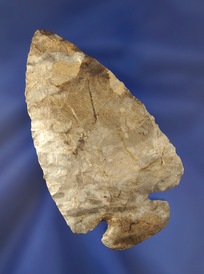 Main artifact image
