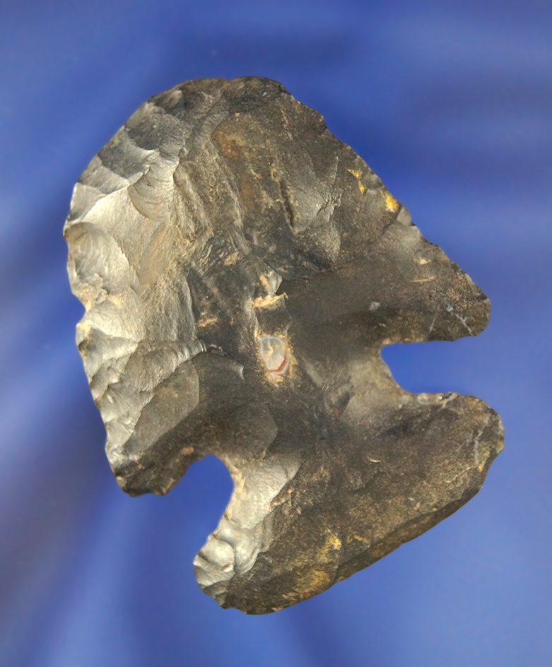 Main artifact image