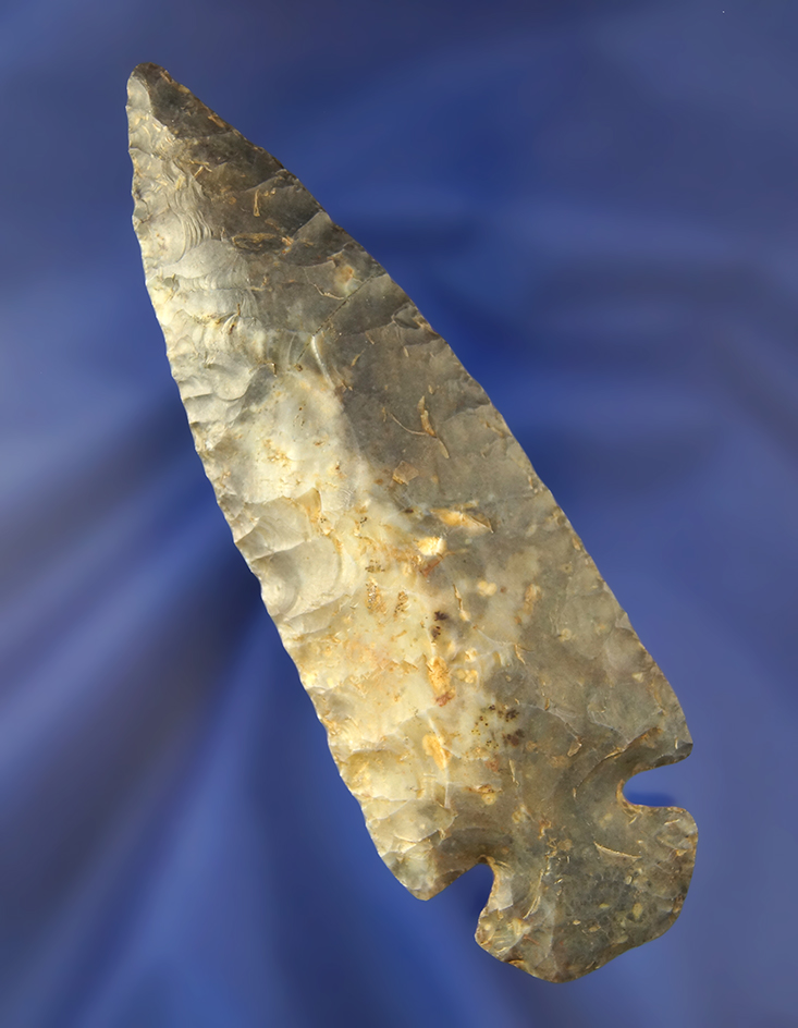 Main artifact image