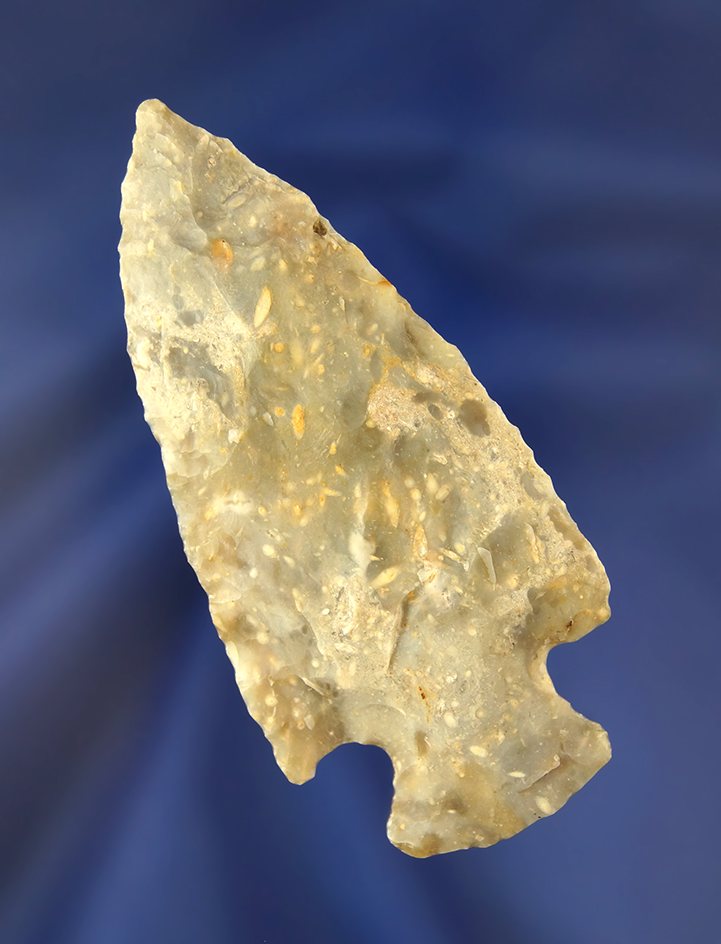 Main artifact image