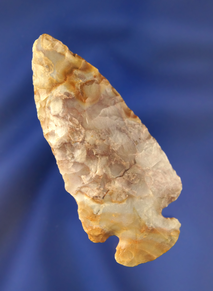 Main artifact image