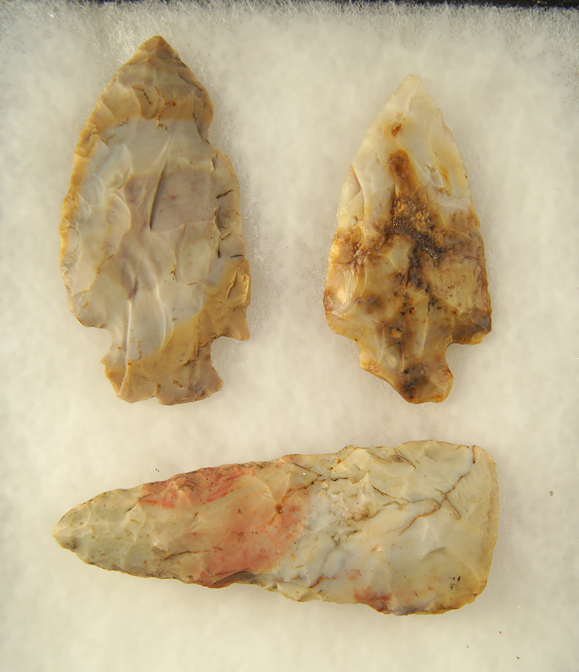 Main artifact image