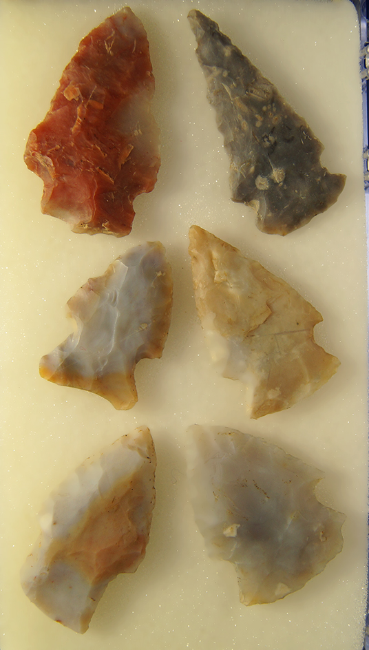 Main artifact image