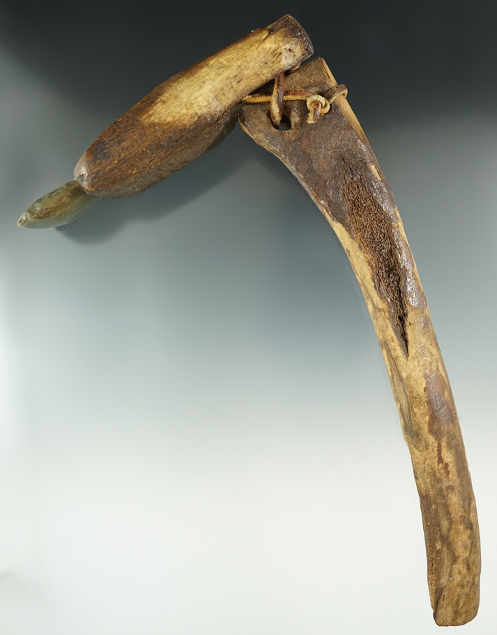 Main artifact image