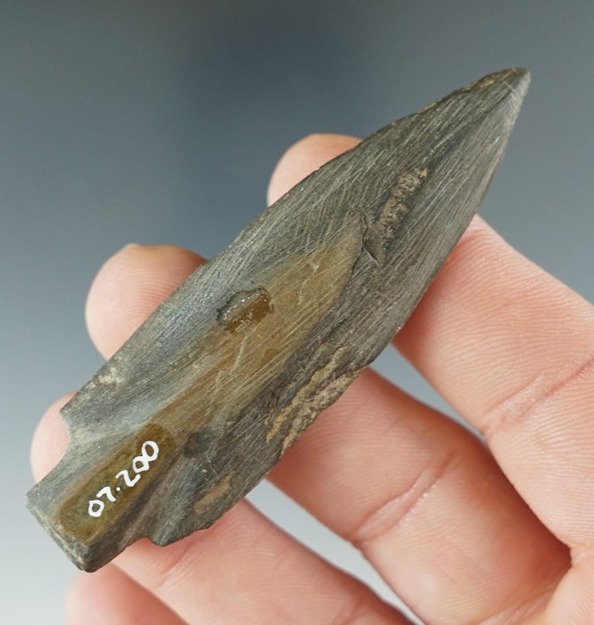 2 13/16" Ground Slate Harpoon Tip found by Harold Grubanoff in the 1940's in California.