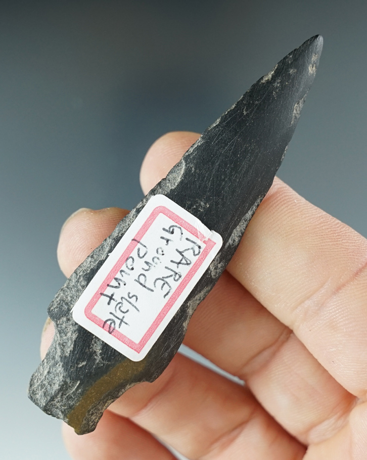Main artifact image