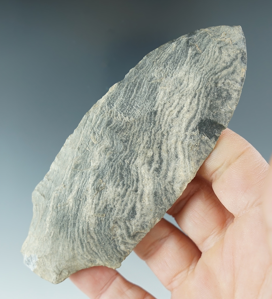 Main artifact image