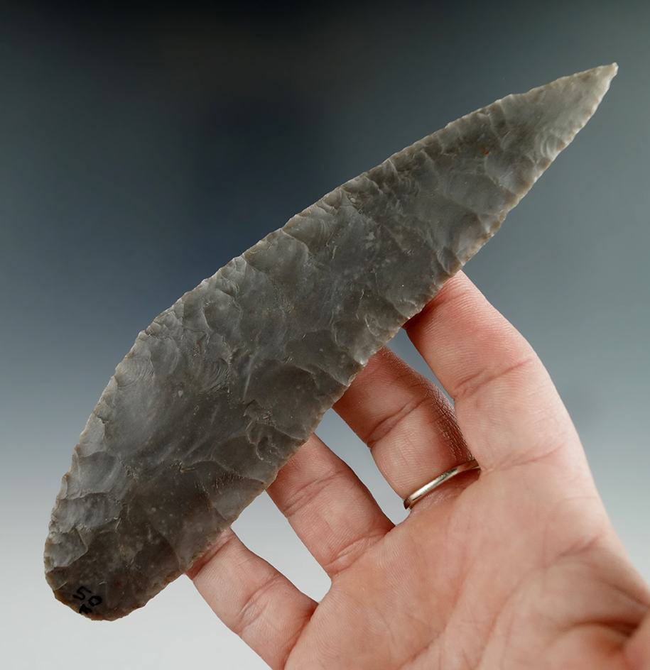 Nice! Large 6 1/8" curved Archaic Knife - incredible flaking - Georgetown Flint. Texas. Rogers COA.
