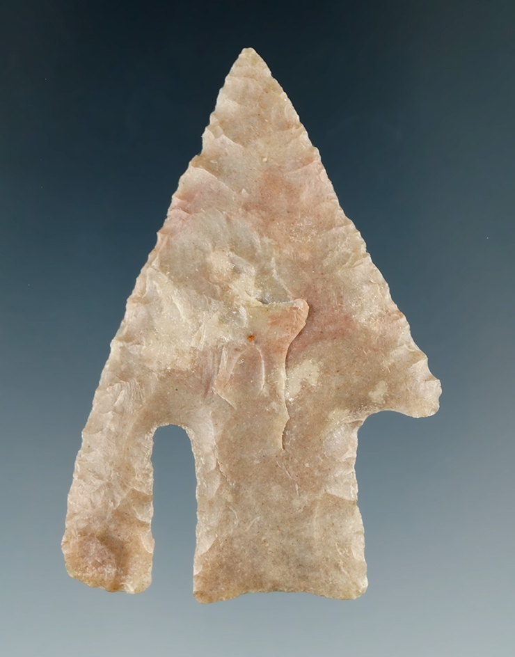 Highly collectible! 2 1/8" Andice found in Zapata Co., Texas one ear anciently resharpened. COA.