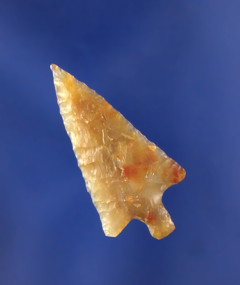Main artifact image