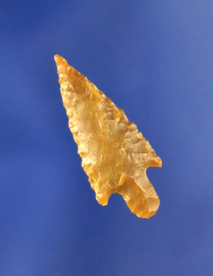Main artifact image