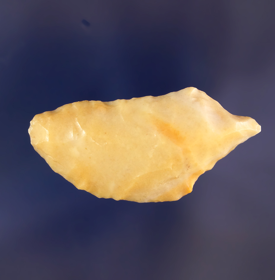 Main artifact image