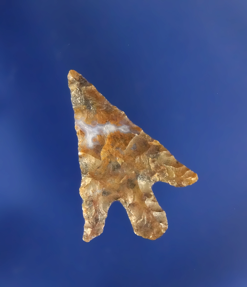 Main artifact image