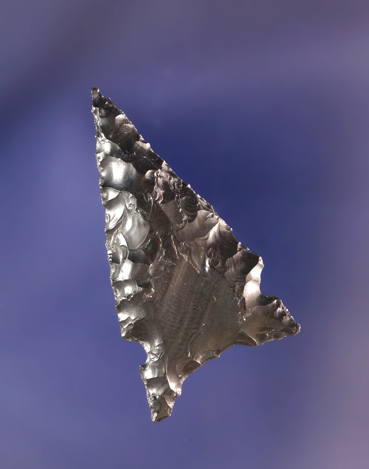 Main artifact image