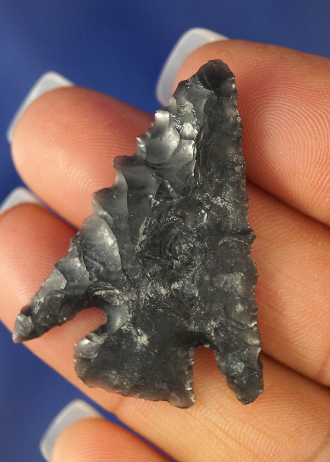 Main artifact image