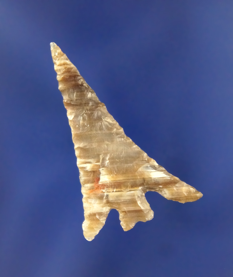 Main artifact image