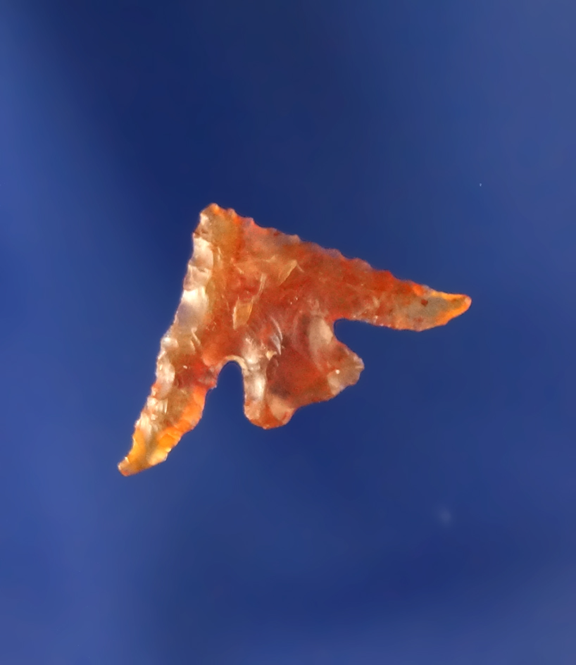 Main artifact image