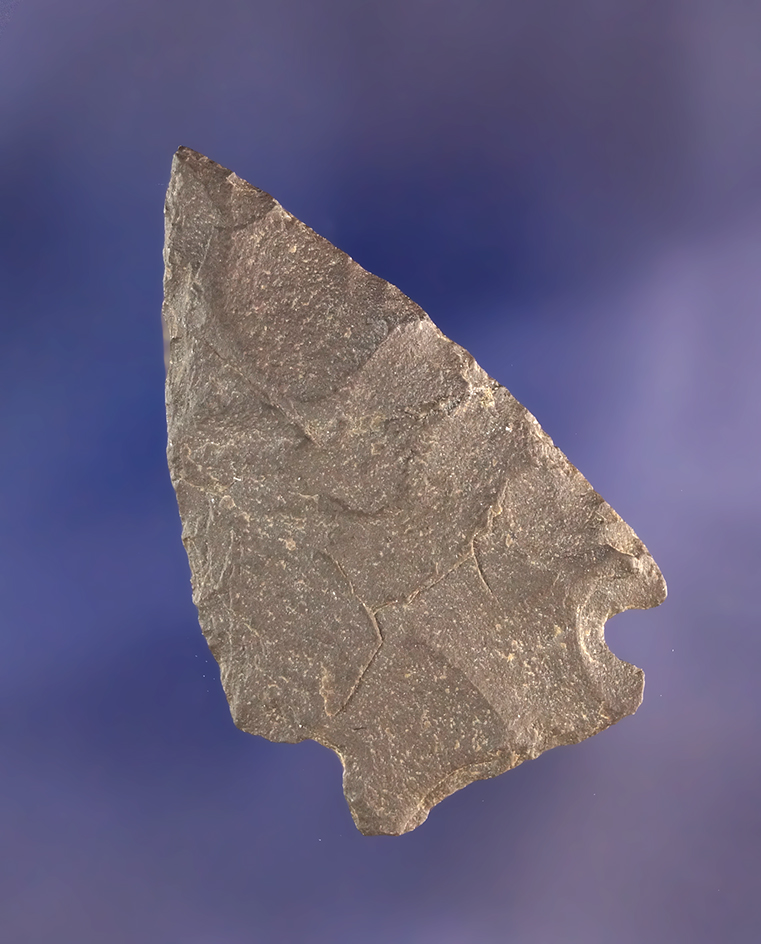 Main artifact image