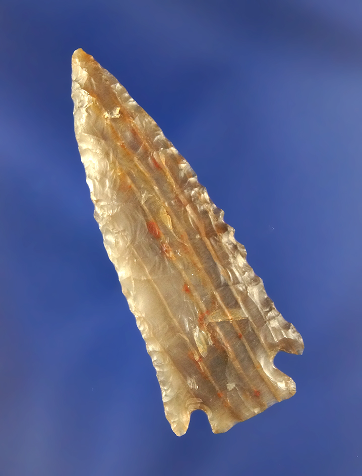 Main artifact image