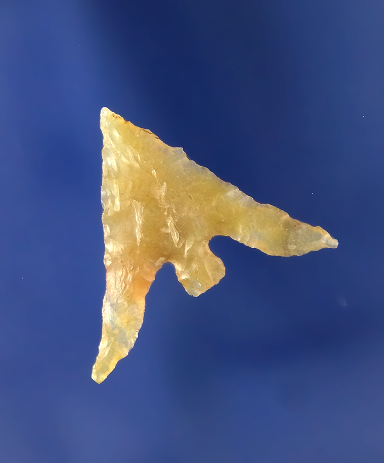 Main artifact image